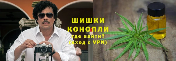 apvp Алзамай