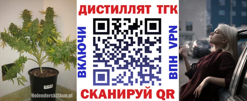 как найти закладки Юрьевец ТГК Wax